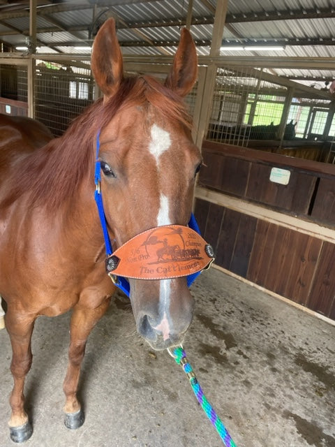 Personalized Halter with Custom Leather Noseband